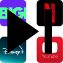 Video Controller Icon